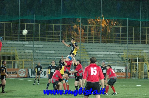 Wasps-AmNapoli